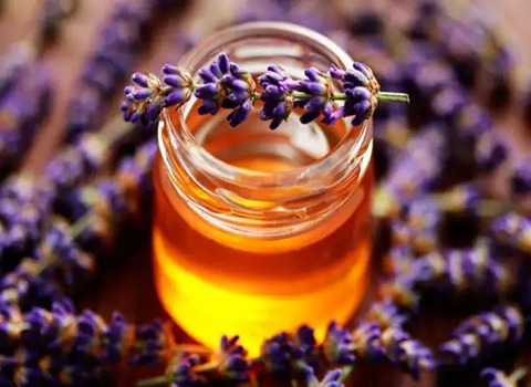 تصویر 3 از خرید + عسل اسطوخودوس