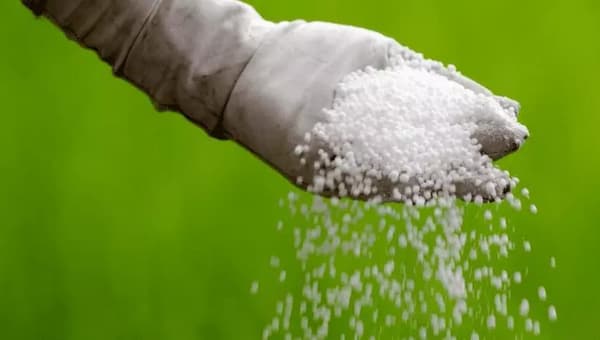 تصویر 4 از خرید کود ازت + قیمت فروش استثنایی