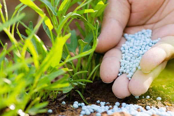 تصویر 1 از خرید کود ازت + قیمت فروش استثنایی
