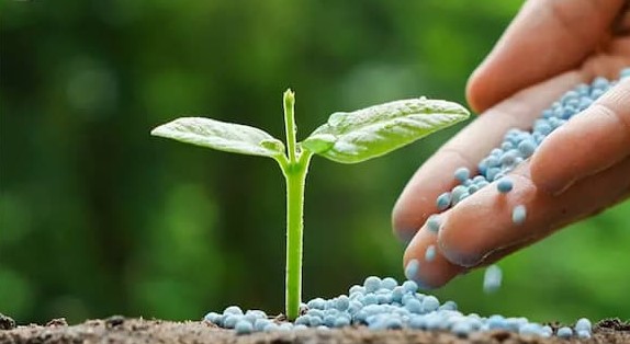 تصویر 3 از خرید کود ازت + قیمت فروش استثنایی