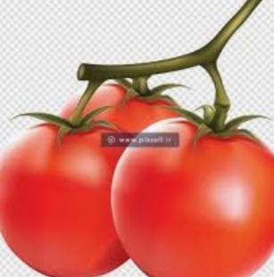 تصویر 2 از رب گوجه‌ فرنگی سانیا + رمز ماندگاری تجارت