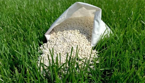تصویر 4 از قیمت خرید کود سولفات پتاسیم + فروش ویژه