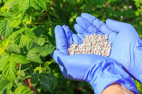 تصویر 4 از فروش کود کلسیم + قیمت خرید به صرفه