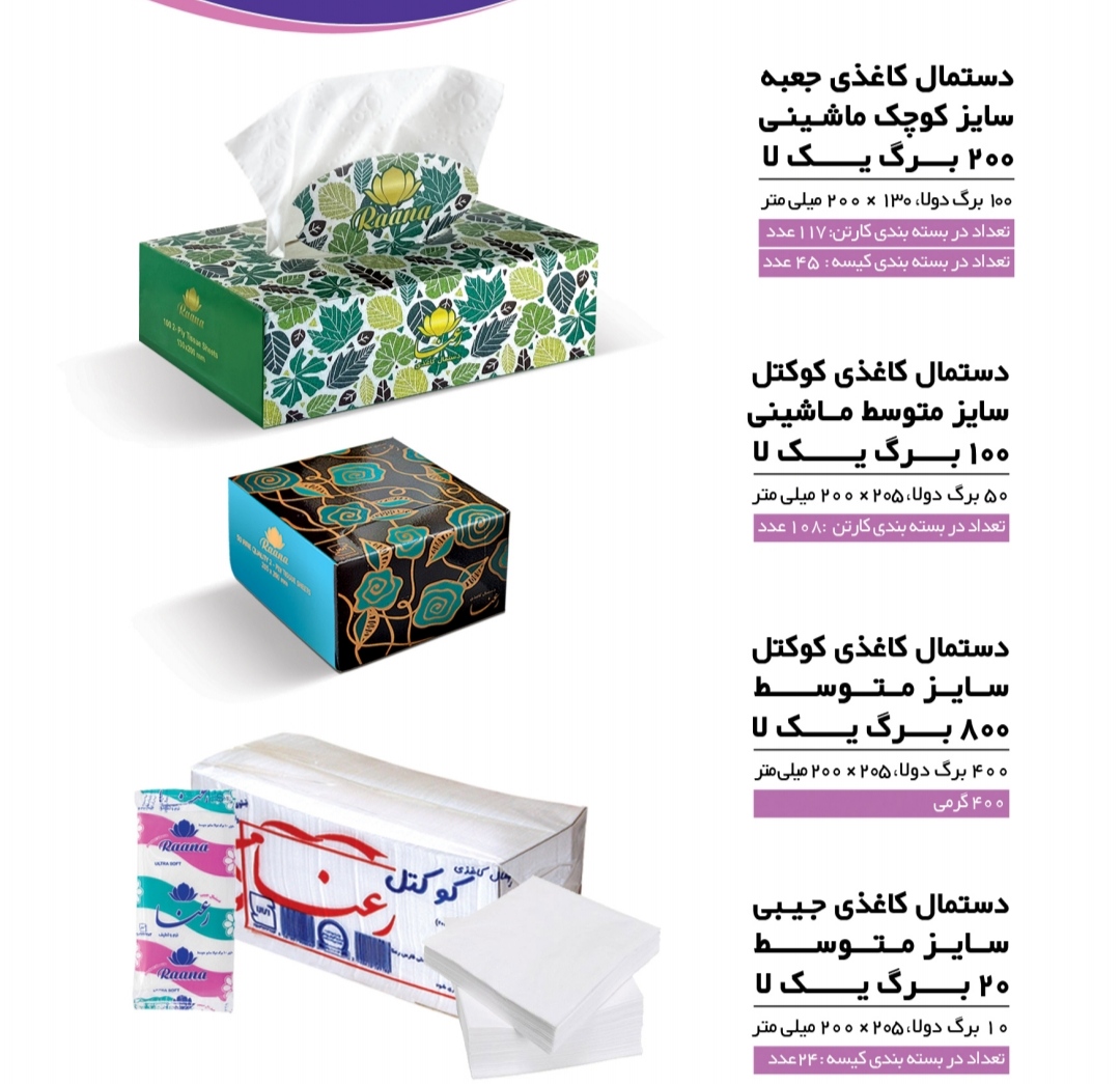 تصویر 1 از فروش کلی دستمال 100 برگ ماشینی کوچک رعنا + قیمت کارخانه