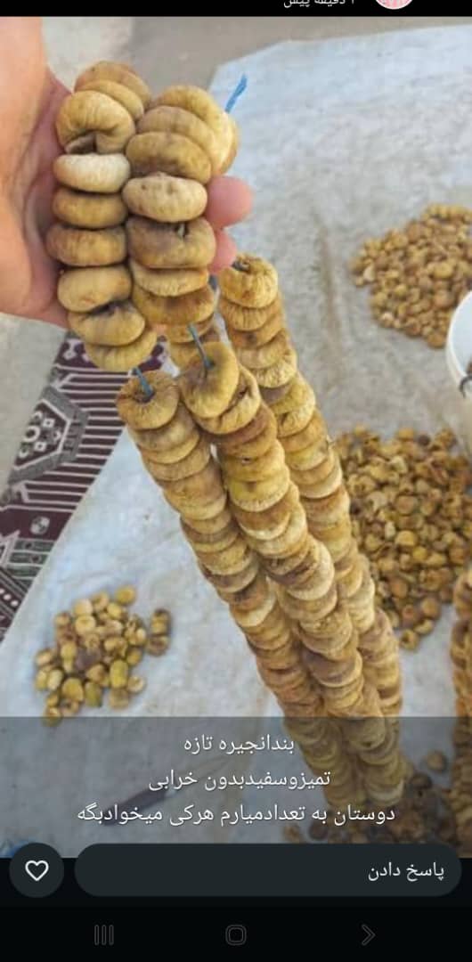 تصویر 1 از مرکز خرید و فروش انجیر خشک اردی با کیفیت ارزان + به قیمت عمده