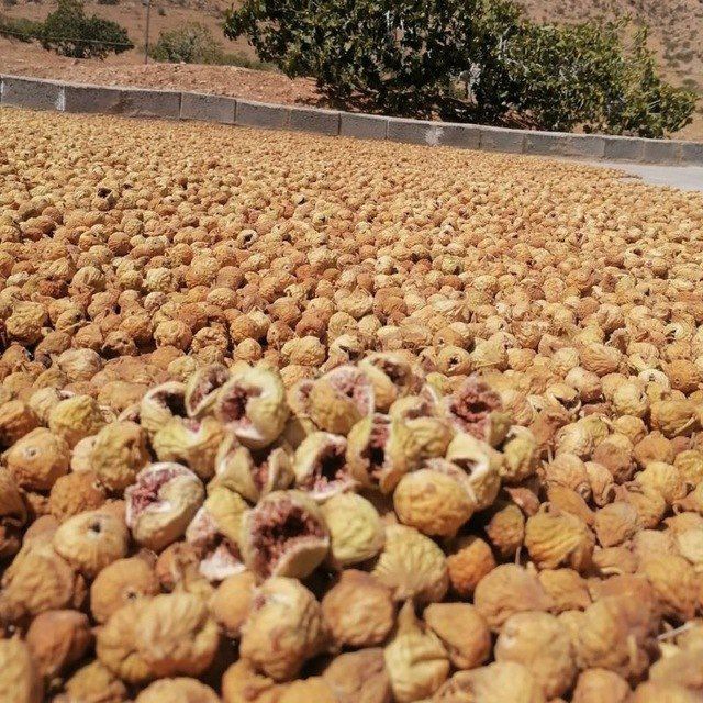 تصویر 3 از خریدانجیرخشک صاداراتی استهبان + خرید انلاین
