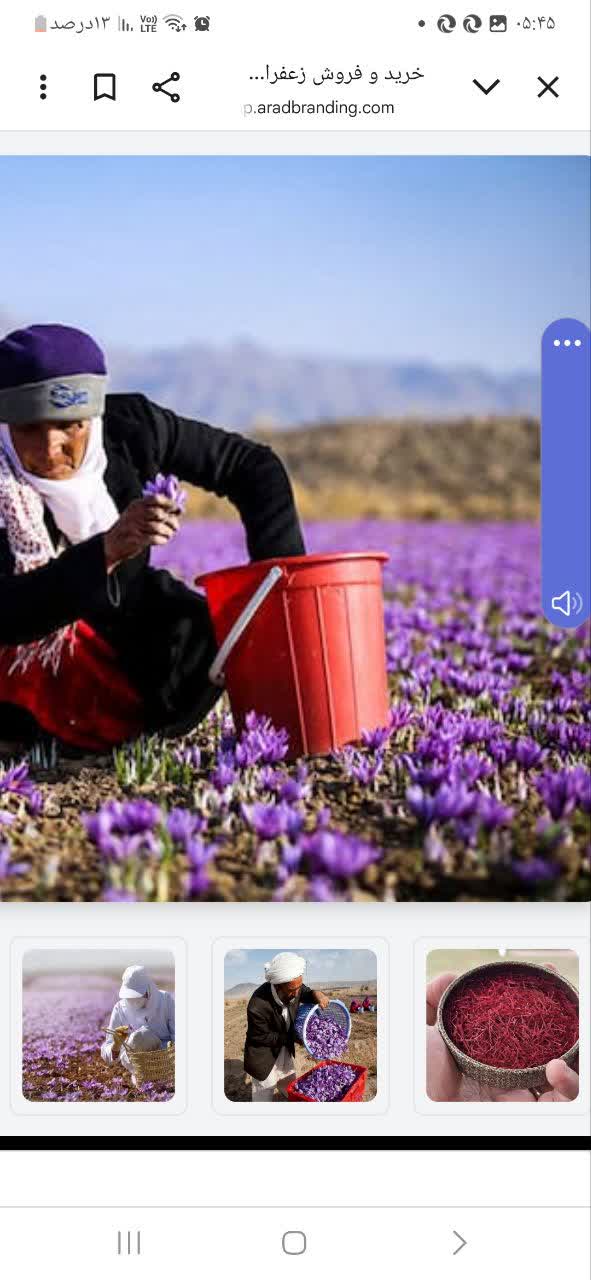تصویر 3 از قیمت زعفران ۱ مثقال