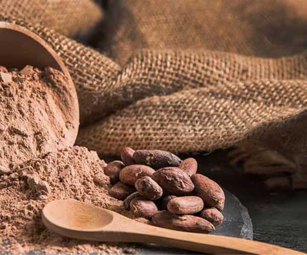 تصویر 1 از خرید و قیمت آرد هسته خرما + فروش عمده