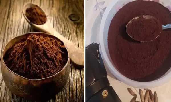 تصویر 2 از خرید و قیمت آرد هسته خرما + فروش عمده