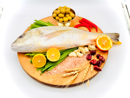 تصویر 1 از خرید و قیمت ماهی سنگ سر طلایی کیلویی + فروش صادراتی
