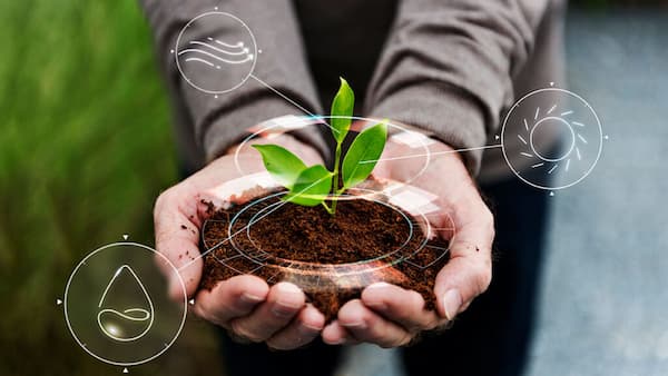 فروش کود تقویتی + قیمت خرید به صرفه