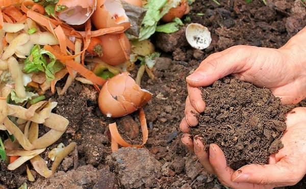 تصویر 1 از خرید و فروش کود کمپوست با شرایط فوق العاده