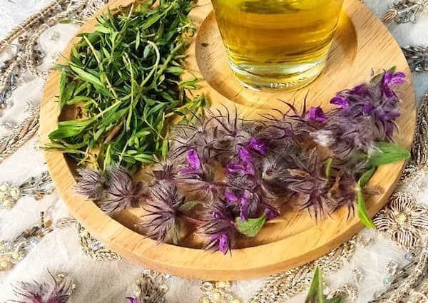 تصویر 4 از قیمت و خرید چای کوهی + فروش ارزان