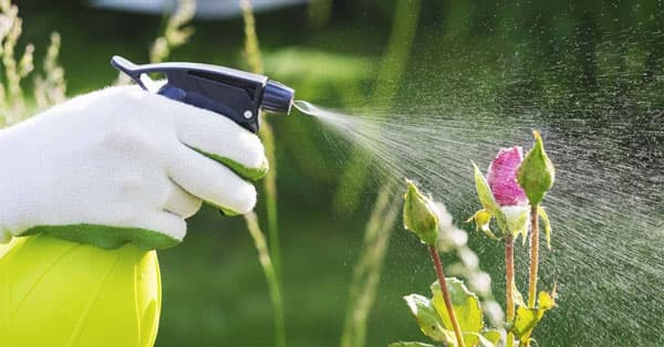 تصویر 5 از راهنمای خرید سم پرمترین + قیمت عالی