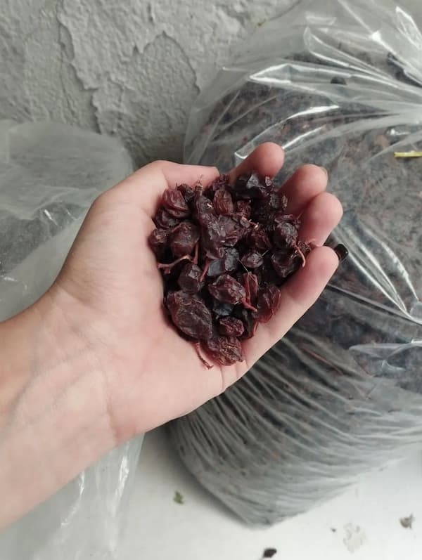 تصویر 2 از قیمت کشمش مویز درشت + پخش تولیدی عمده کارخانه