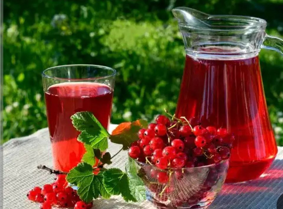 آب زرشک ارگانیک بیرجند + قیمت