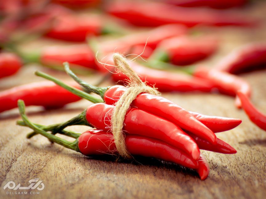 تصویر 4 از خرید و فروش عمده انواع فلفل با قیمت رقابتی