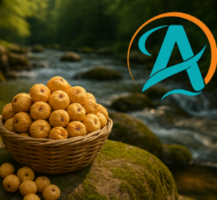 انجیر نرم استهبان + طعمی خاطره انگیز