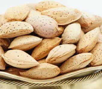 قیمت بادام کاغذی مرغوب + خرید به صرفه