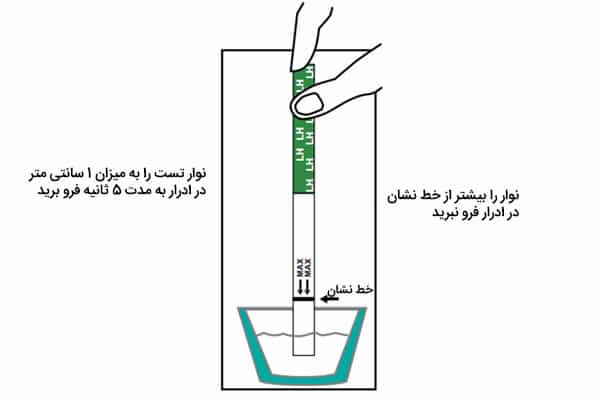 تصویر 2 از قیمت و خرید تست تخمک گذاری + فروش ارزان