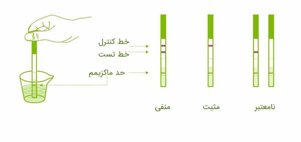 تصویر 4 از قیمت و خرید تست تخمک گذاری + فروش ارزان