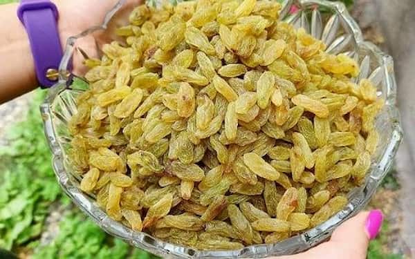 تصویر 3 از قیمت و خرید کشمش سبز ممتاز + فروش ارزان