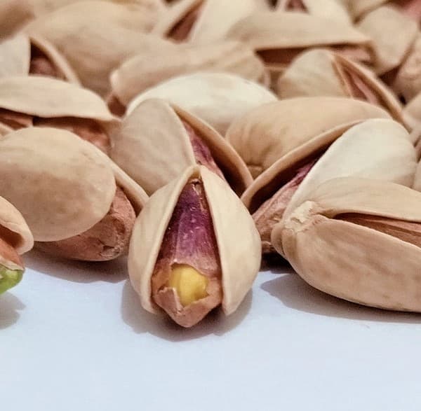 تصویر 1 از فروش پسته اکبری + قیمت فروش استثنایی
