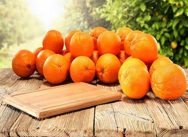 تصویر 2 از قیمت خرید پرتقال پیوندی دزفول با فروش عمده