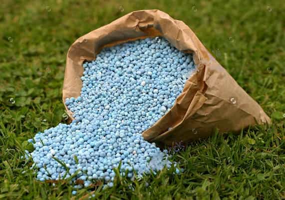 تصویر 4 از قیمت خرید کود آلی گرانوله عمده به صرفه و ارزان