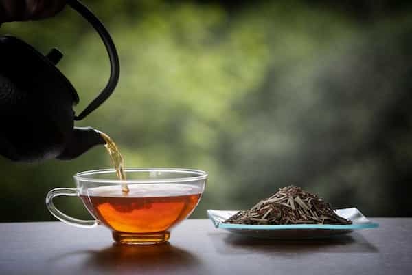 تصویر 1 از قیمت و خرید چای کوهی + فروش ارزان
