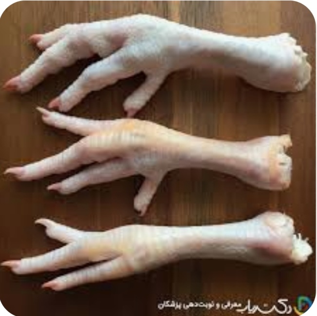 خرید پای مرغ + قیمت ارزان و بصرفه