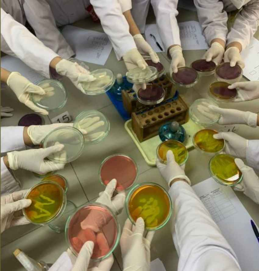 تصویر 2 از خرید و فروش دستکش لاتکس رنگ سفید و شیری + فروش عمده