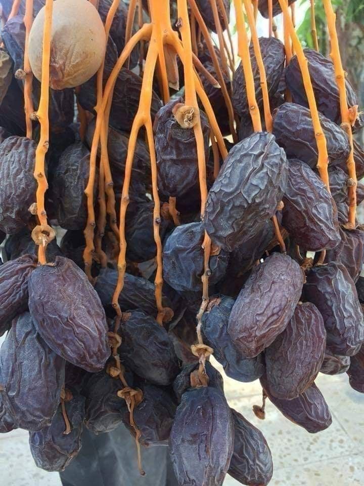 تصویر 3 از خرید انواع خرما مجول