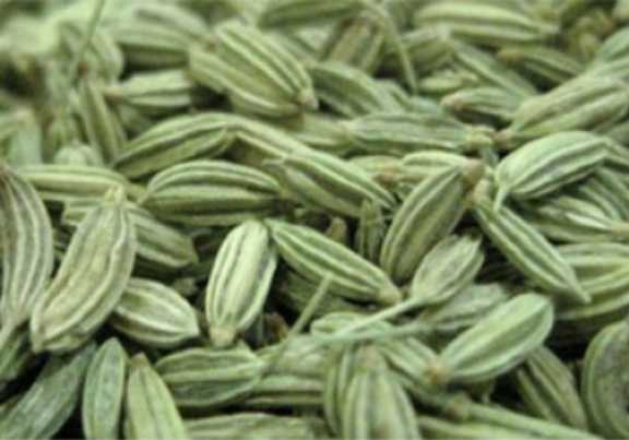 تصویر 5 از زیره سبز تمیز + فروش