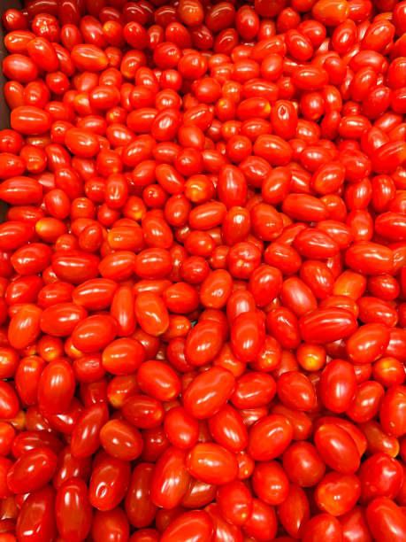 تصویر 5 از خرید رب گوجه مزرعه‌ دار + قیمت عالی
