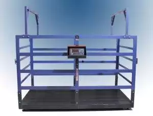 فروش باسکول دامکش ۱۲۰۰ کیلویی مناسب گاوداری