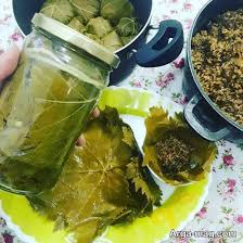 تصویر 4 از شوری برگ مو + پت ۶ کیلویی