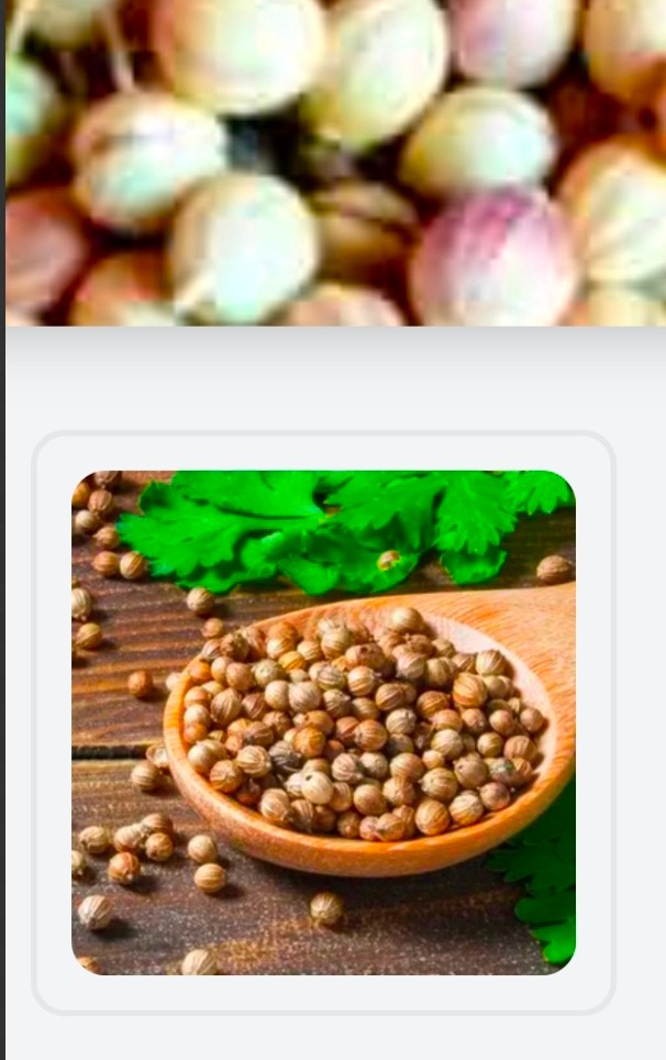 تصویر 1 از خرید بذر گشنیز + خدمات پس از فروش