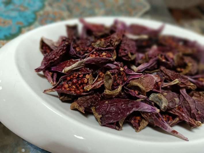 تصویر 3 از میوه کاکتوس خشک صادراتی + بسته بندی طبق سفارش
