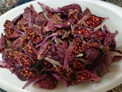 تصویر 5 از میوه کاکتوس خشک صادراتی + بسته بندی طبق سفارش