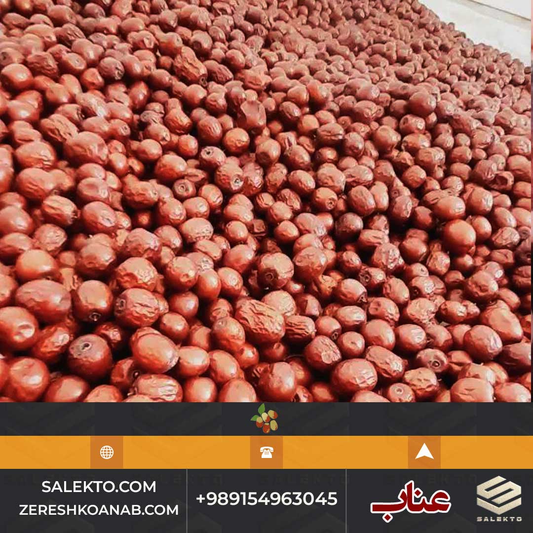 تصویر 5 از عناب خشک ممتاز قائنات با طعم شیرین و هسته کوچک + فروش فوق‌ العاده و خرید ارزان