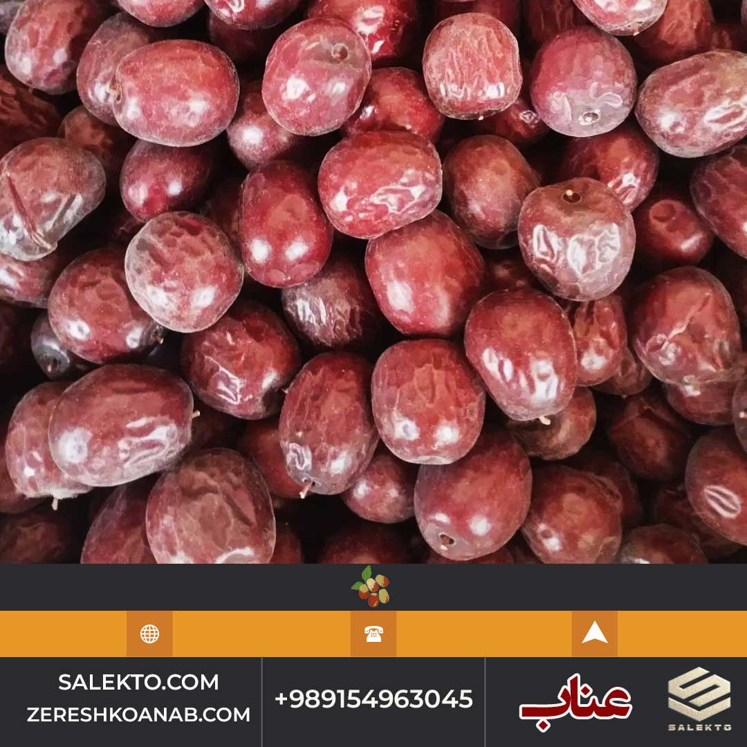 تصویر 1 از عناب خشک پرگوشت خراسان جنوبی با خواص دارویی + قیمت شگفت‌ انگیز و خرید به‌ صرفه