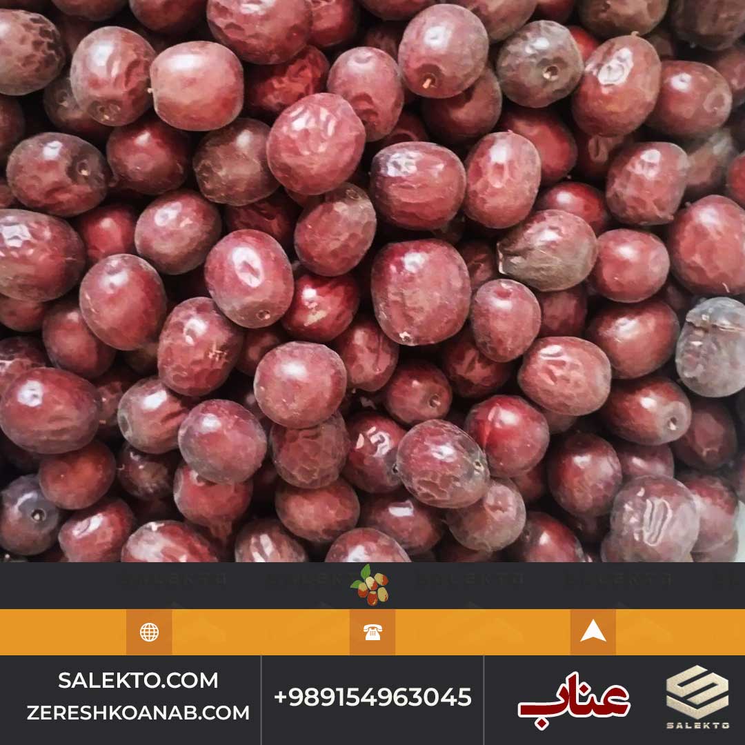 تصویر 5 از عناب خشک مرغوب قائنات با طعم طبیعی و هسته کم + خرید مستقیم و شرایط استثنایی