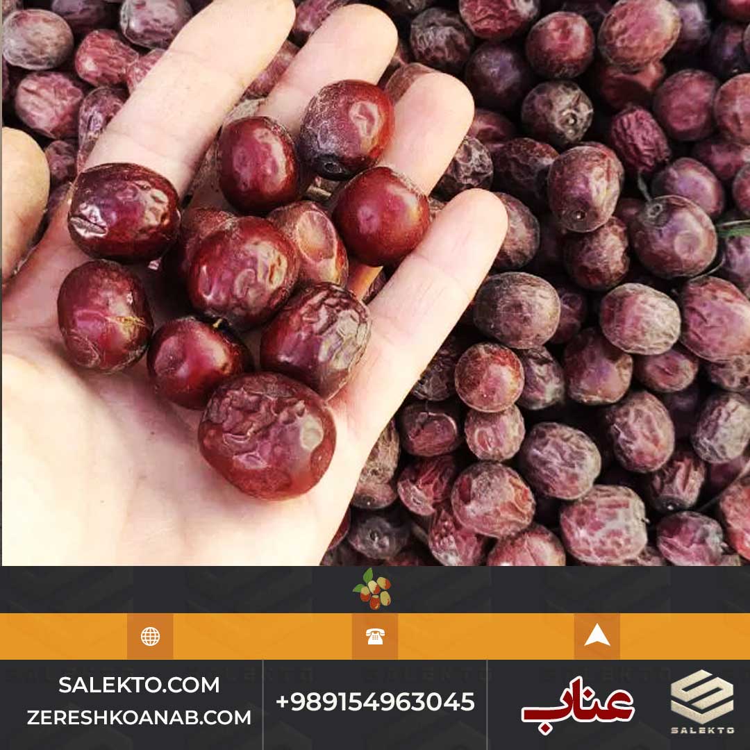 تصویر 2 از عناب خشک خوش‌ طعم خراسان جنوبی با دانه‌های سالم و درشت + قیمت رقابتی و فروش فوق‌ العاده