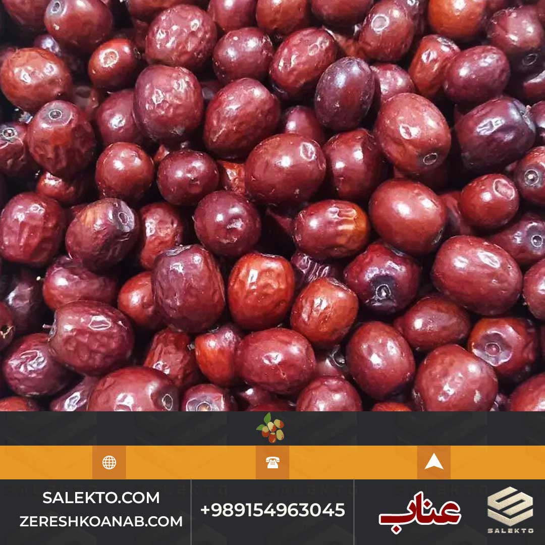 تصویر 3 از عناب خشک پرخاصیت قائنات با طعم اصیل و خواص درمانی + فروش فوق‌ العاده و خرید ارزان