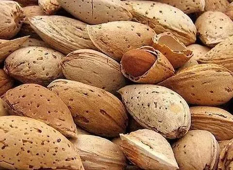 تصویر 5 از بادام مرغوب سنگی + فروش عمده