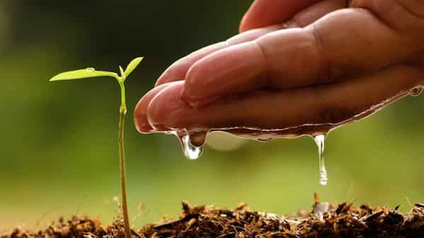 قیمت کود آهن