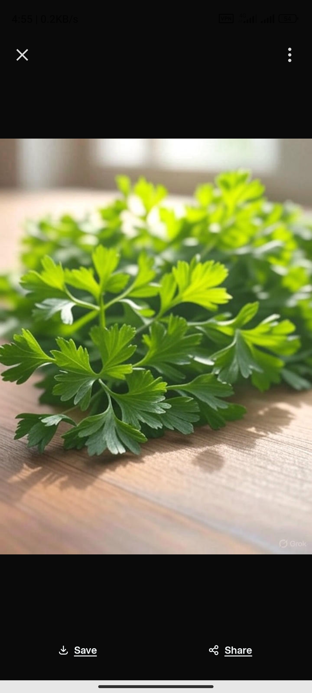 تصویر 4 از خواص گشنیز خشک + لیست قیمت