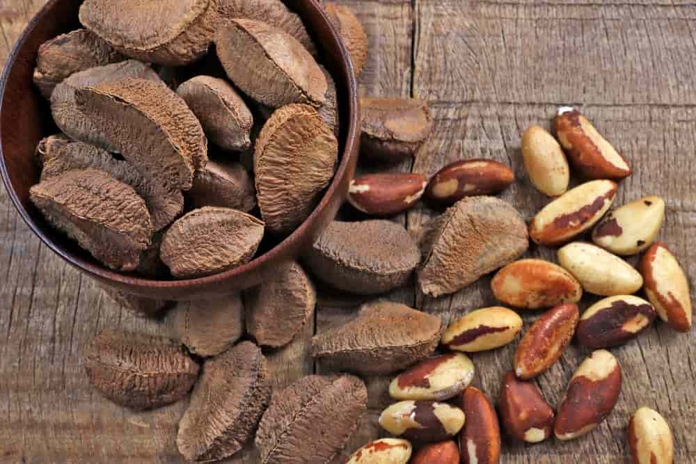 تصویر 1 از قیمت و خرید فندق برزیلی + فروش ارزان