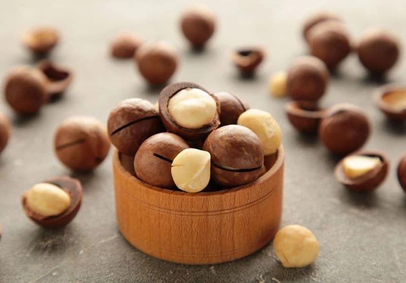 تصویر 1 از خرید فندق افریقایی + قیمت فروش استثنایی